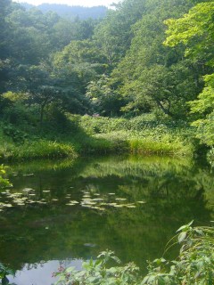 輪行写真